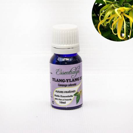 Ylang-Ylang III  10 ml