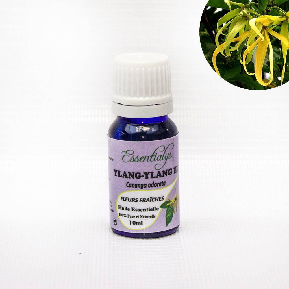 Ylang-Ylang III  10 ml