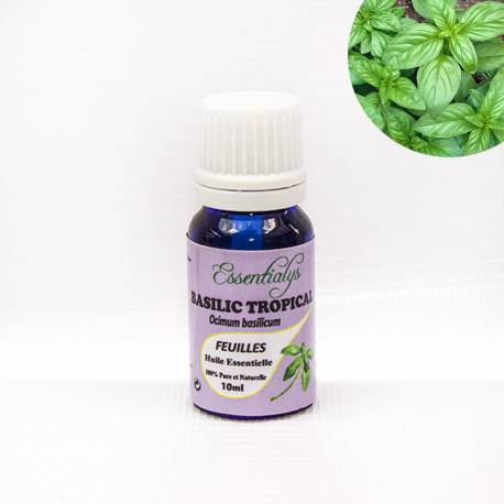 Basilic Tropical   10 ml