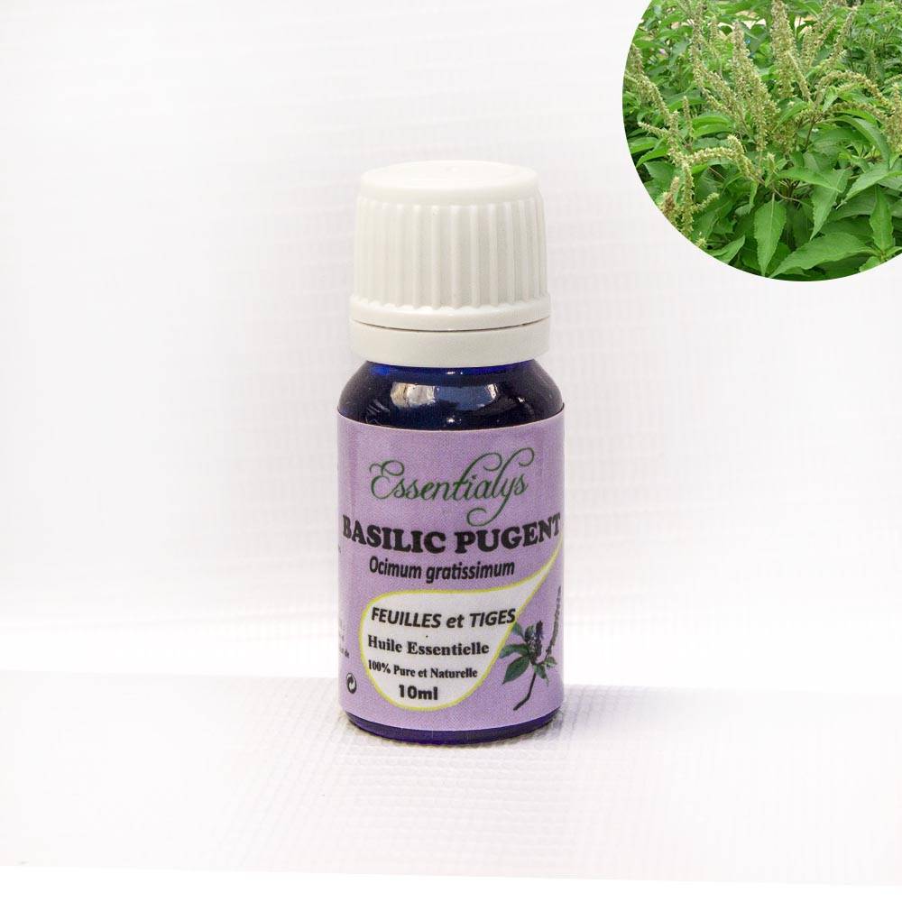 Basilic Pungent Romba\"  10 ml