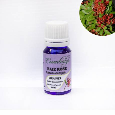Baie rose Graines  10 ml