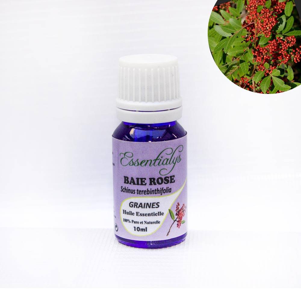 Baie rose Graines  10 ml