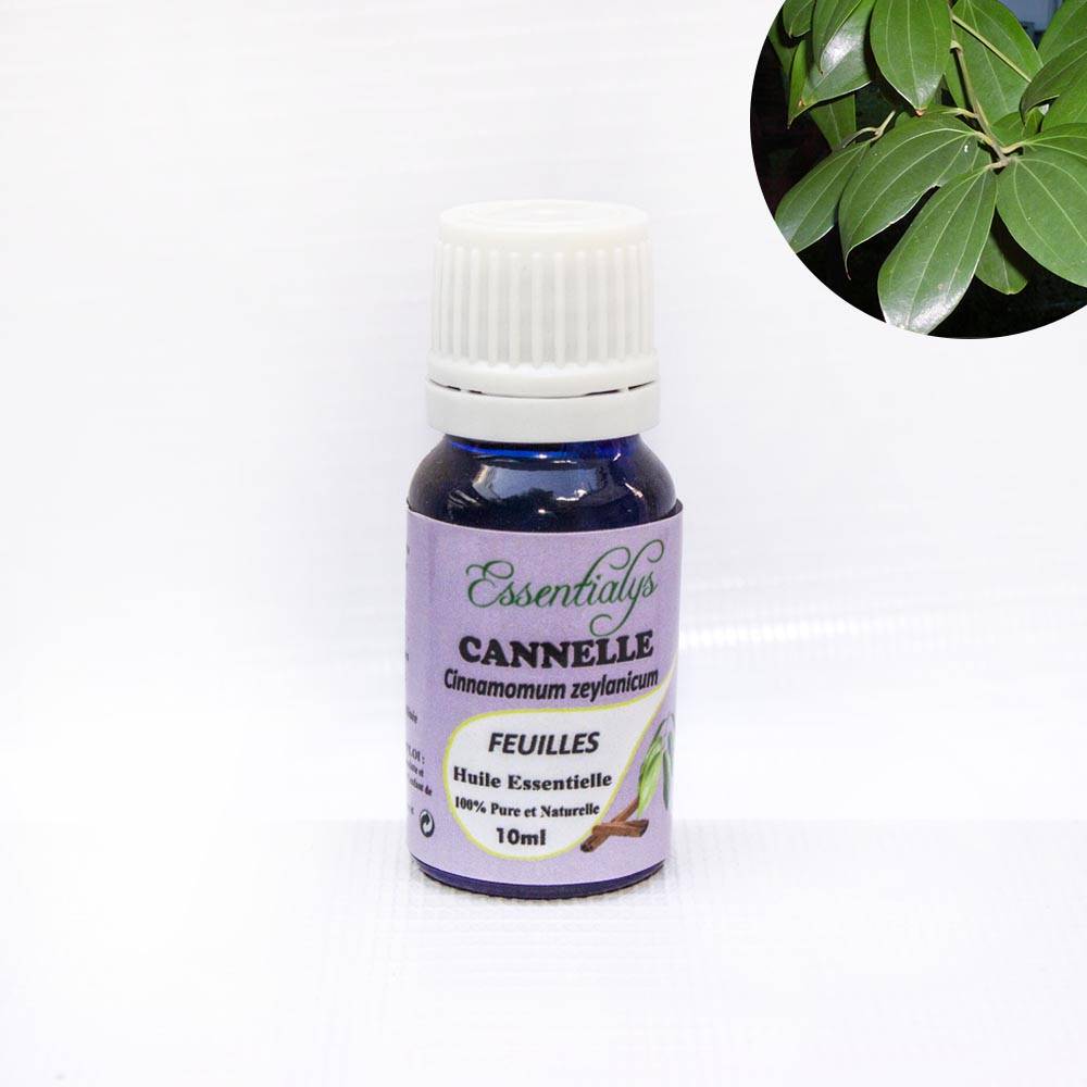 Cannelle Feuilles  10 ml