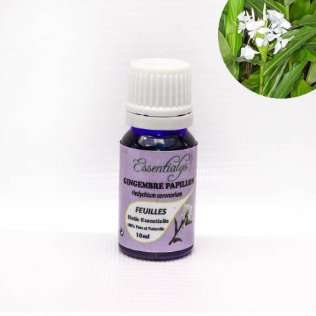 Gingembre Papillon Longoza be  10 ml