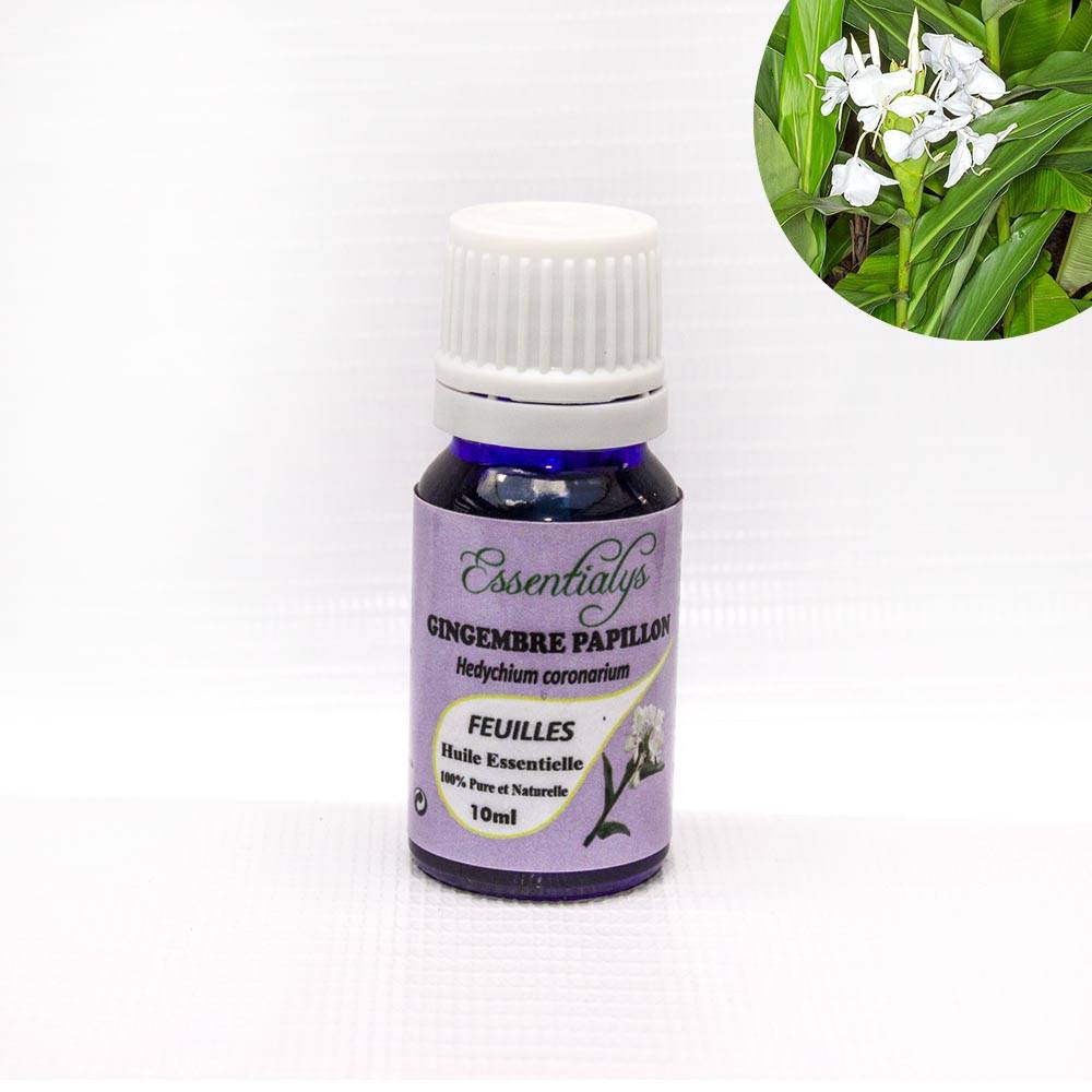 Gingembre Papillon Longoza be  10 ml