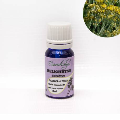 Hélichryse Bractée  10 ml