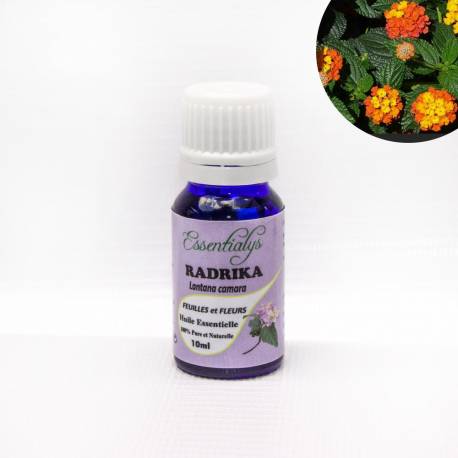 Radrika  10 ml