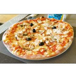 Pizzas Poulet PM