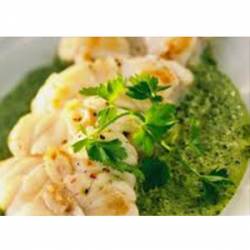 FILET DE MEROU A LA CREME D\\\'OSEILLE