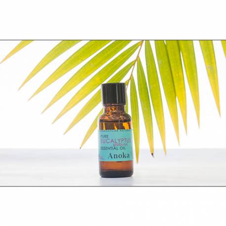 ESSENTIAL OIL EUCALYPTUS 20ML