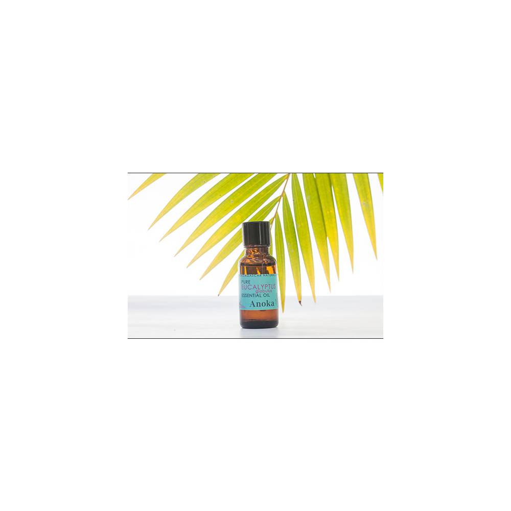 ESSENTIAL OIL EUCALYPTUS 20ML