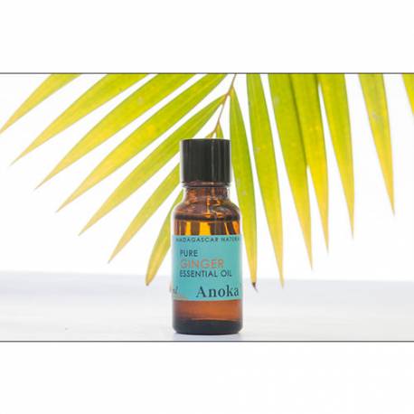 ESSENTIAL OIL GINGER 20ML