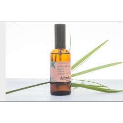 MASSAGE OIL RELAX 100ML