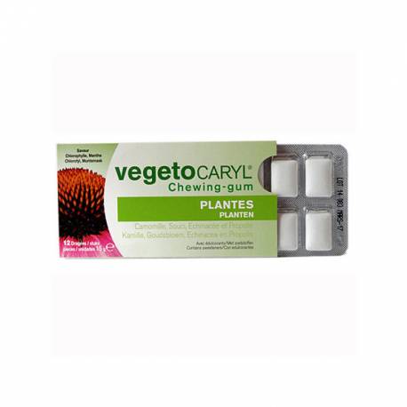 VEGETOCARYL CHEWING GUM HALEINE FRAICHE - 12 DRAGEES