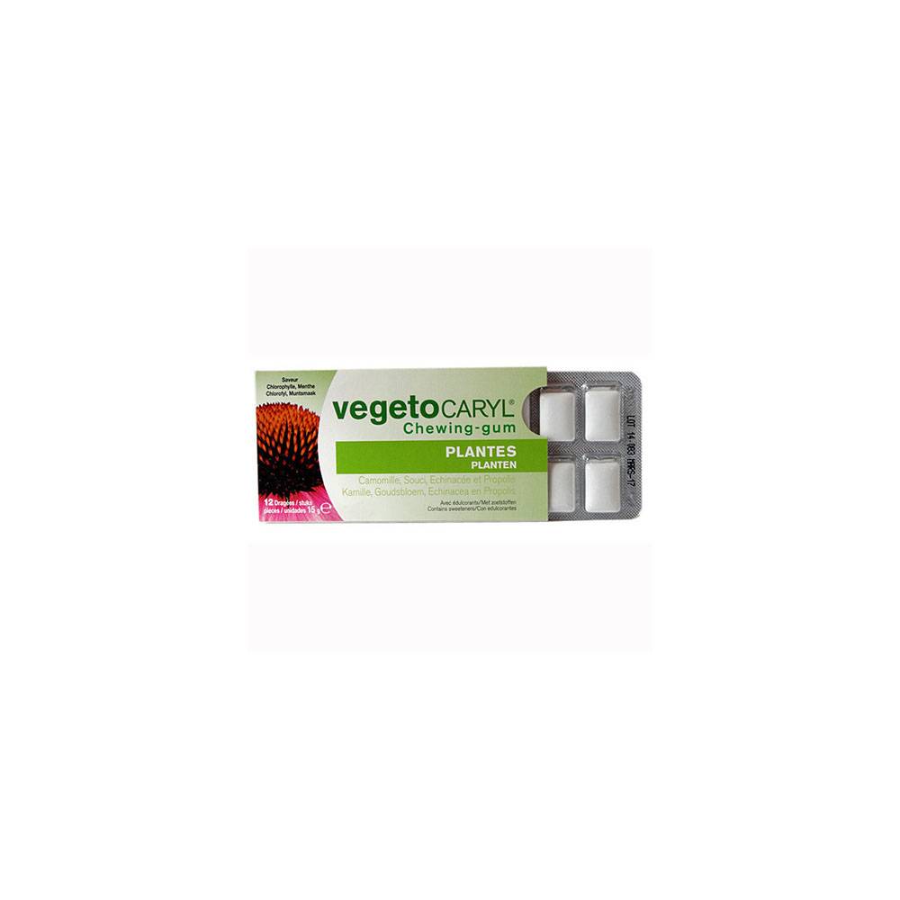 VEGETOCARYL CHEWING GUM HALEINE FRAICHE - 12 DRAGEES