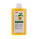 KLORANE MANGUE SHAMPOO 200ML