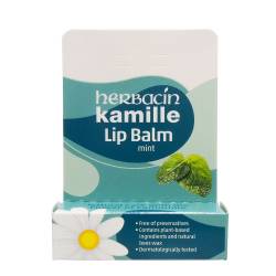 BAUME A LEVRES MENTHE 4,8G