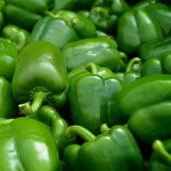 POIVRON / KG