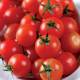TOMATE CERISE/ KG