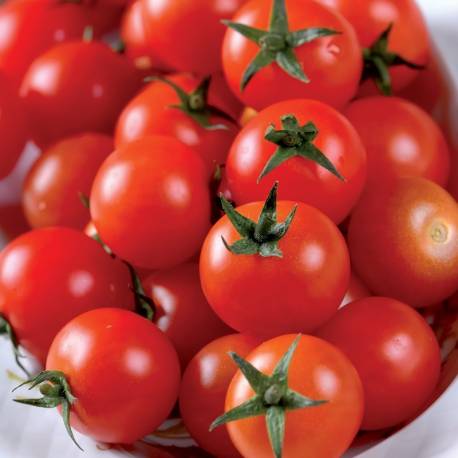 TOMATE CERISE/ KG