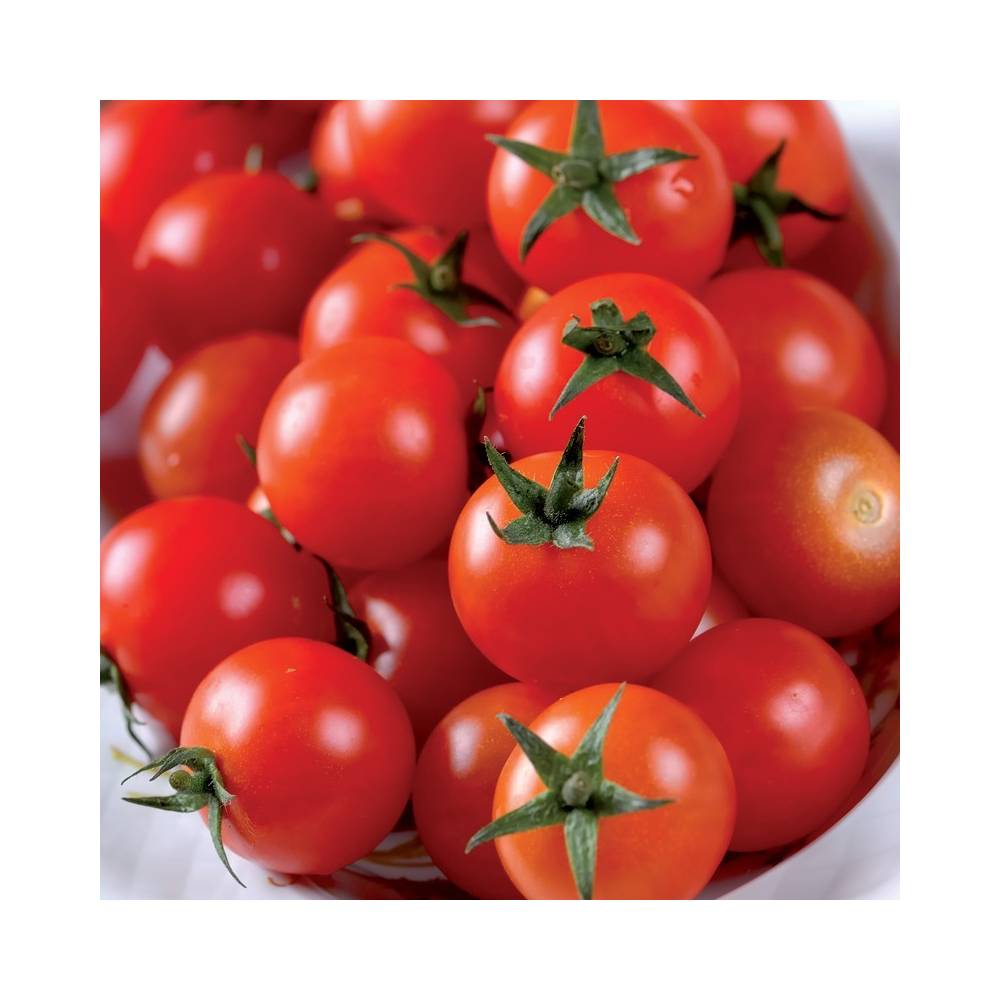 TOMATE CERISE/ KG
