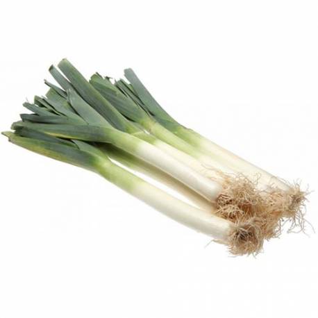 POIREAUX/ KG