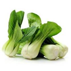 PAK CHOI (CHOU CHINOIS)/ KG