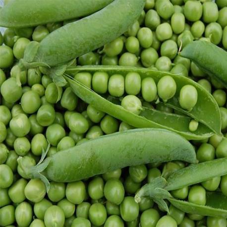 PETIT POIS/ KG