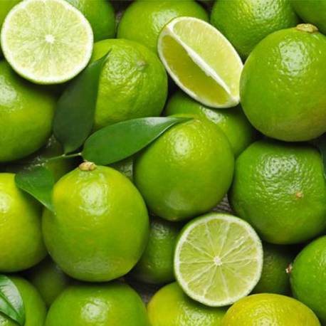 CITRON/ KG