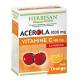 HERBESAN ACÉROLA ORANGE 30 COMPRIMÉS
