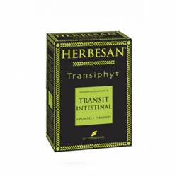 HERBESAN TRANSIPHYT MINI BIO 20COMPRIMÉS