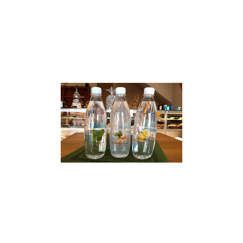 EAU PARFUMEE CITRON / GINGEMBRE / MENTHE