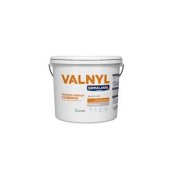 VALNYL INT/EXT_TEINTÉS 4KG