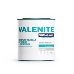 VALENITE BRILLANT_TEINTÉS 1KG
