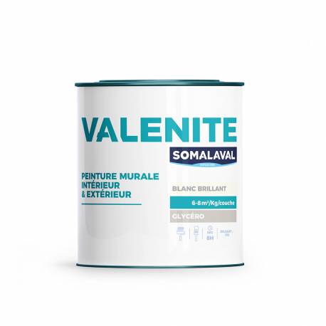 VALENITE BRILLANT_TEINTÉS 1KG
