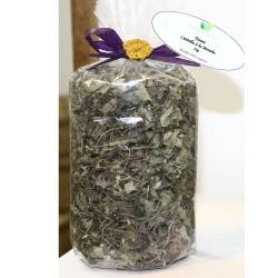 TISANE CENTELLAS A LA MENTHE