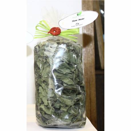 TISANE MURIER