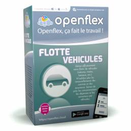 Module Flotte Véhicules