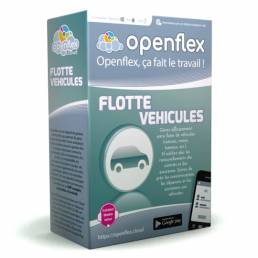 Module Flotte Véhicules