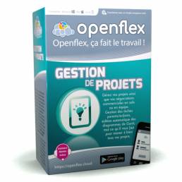 Module Gestion de Projets