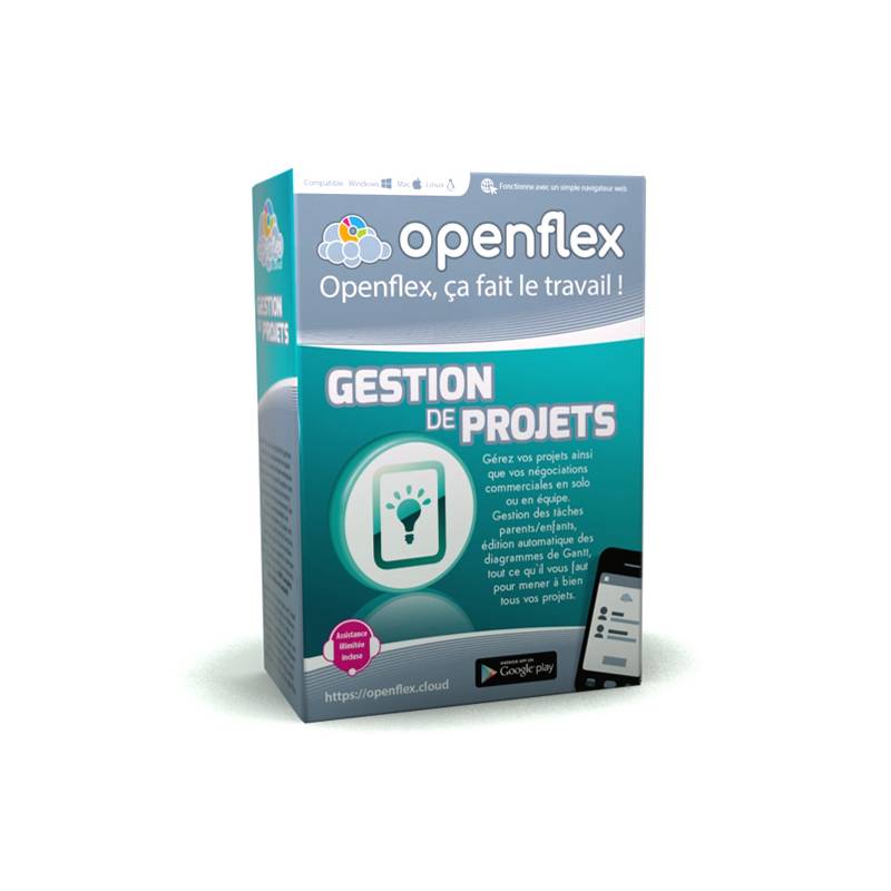 Module Gestion de Projets