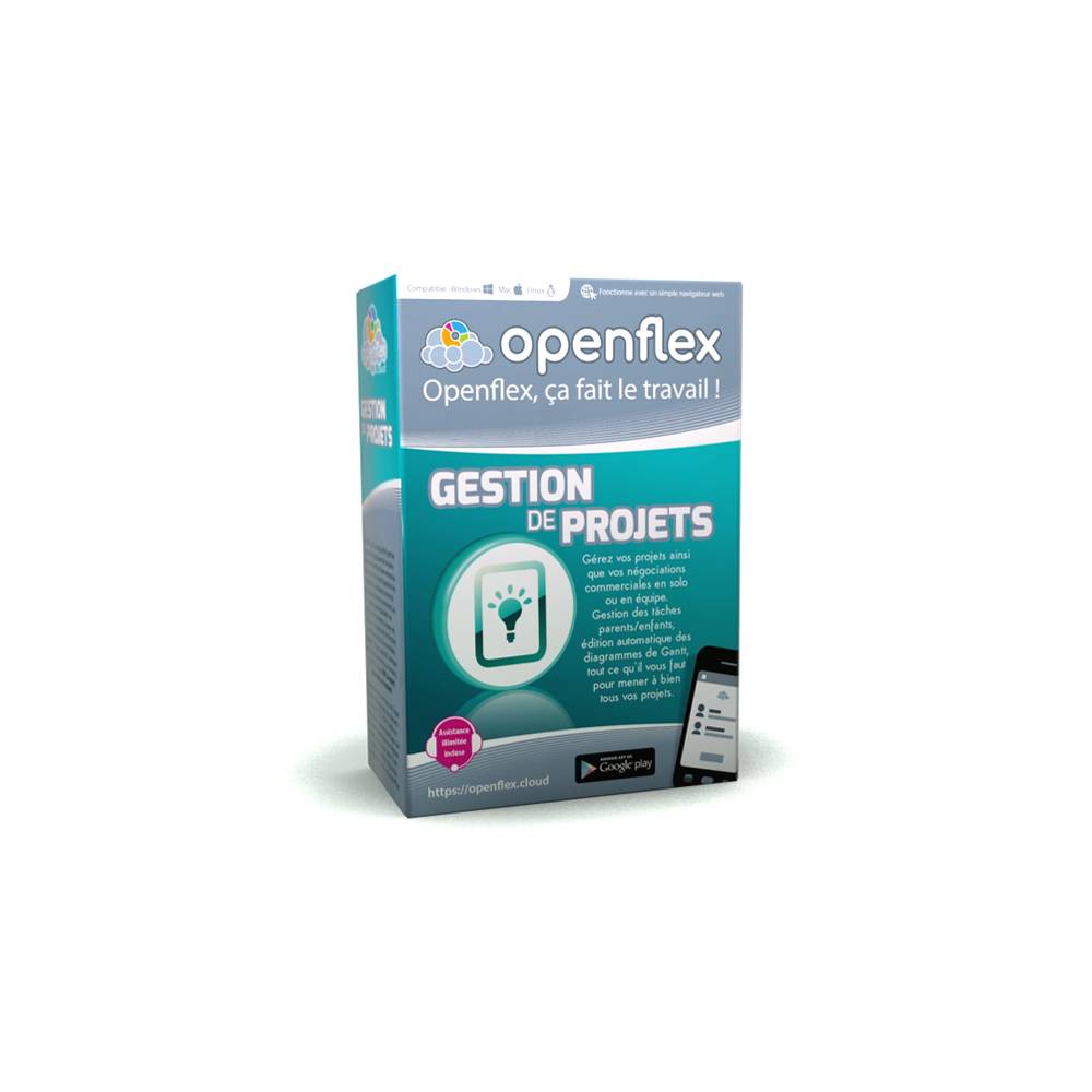 Module Gestion de Projets