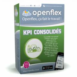 Module KPI Consolidés