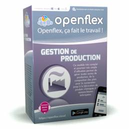 Module Gestion de la  Production