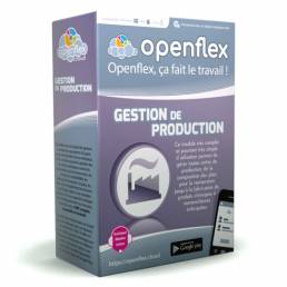 Module Gestion de la  Production