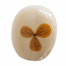 SAVON ASSORTIS OVALS