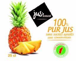 Pur jus de fruit ananas 25 cl carton de 12
