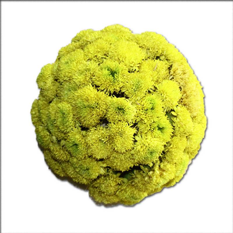 Bouquet d'Inde Jaune