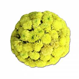 Bouquet d'Inde Jaune