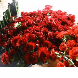 Tige de Rose Grenat (sans épine)